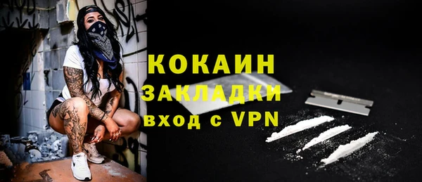 твердый Аркадак