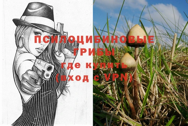 синтетический гашиш Саяногорск
