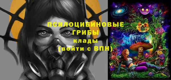 твердый Аркадак