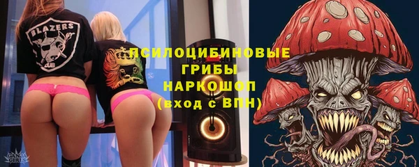 ECSTASY Сафоново
